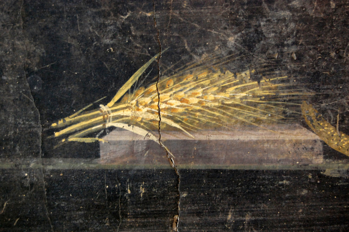 Rome Agriculture  L'Agriculture dans le Monde Romain