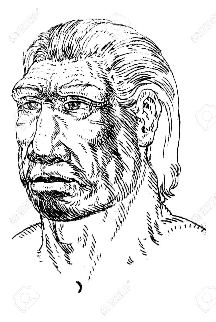 Prehistoire  Neanderthal en France scènes Vie