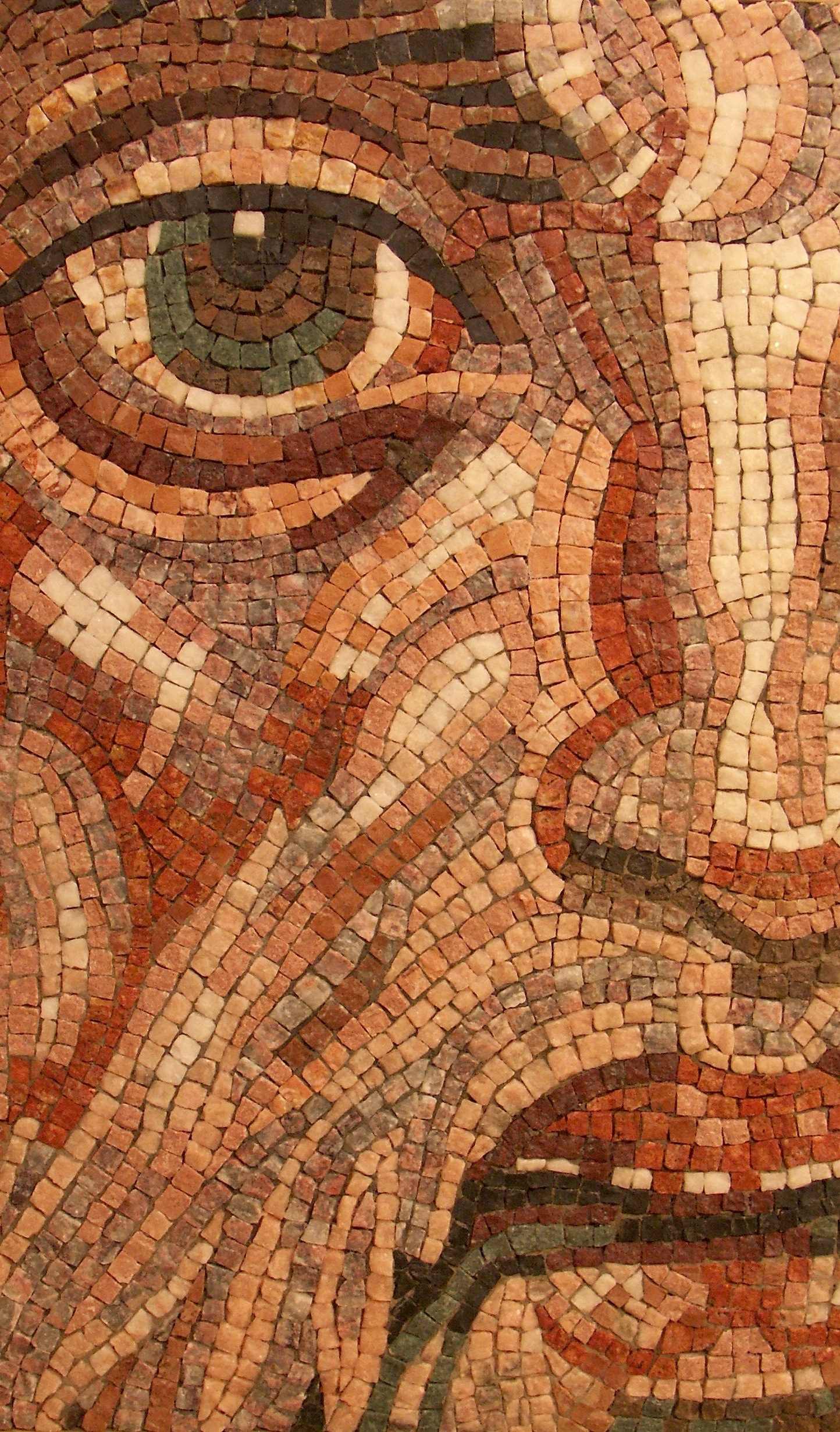 Rome Mosaïques dans Le Monde Romain  Catalogue