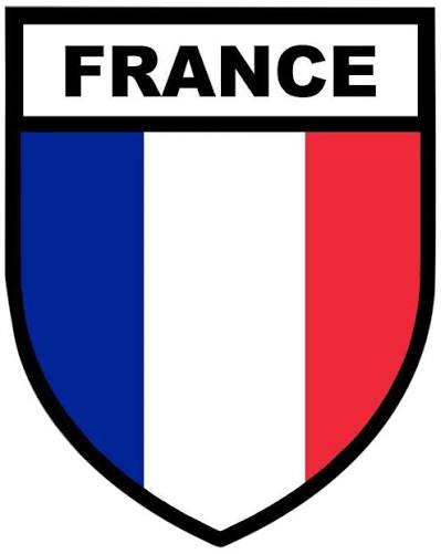 France 2020 Armée Française  Les Sigles Militaires