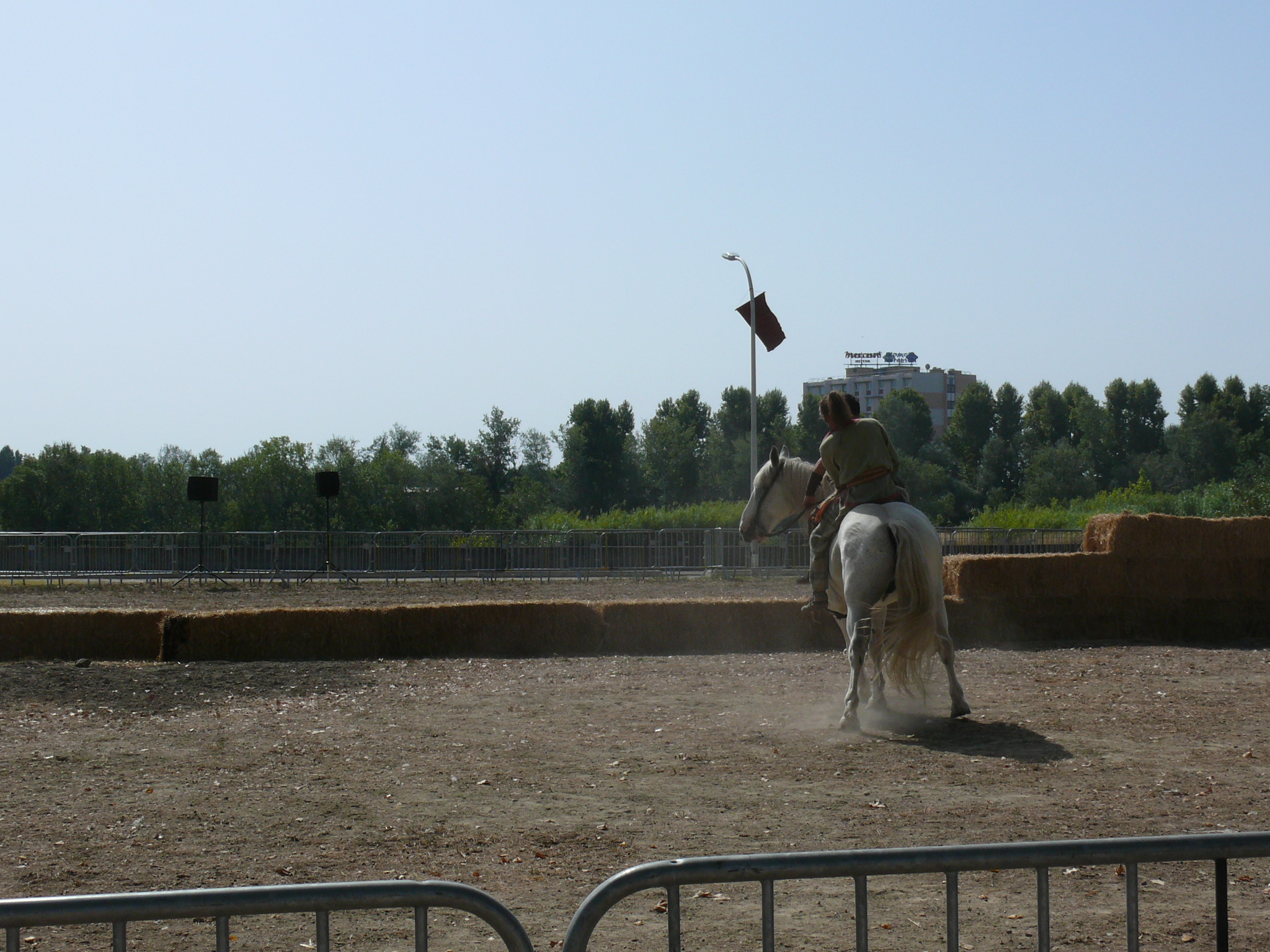 Warhammer, AOS, normand, rider, cavalier, Gaulois, javelot, Celte