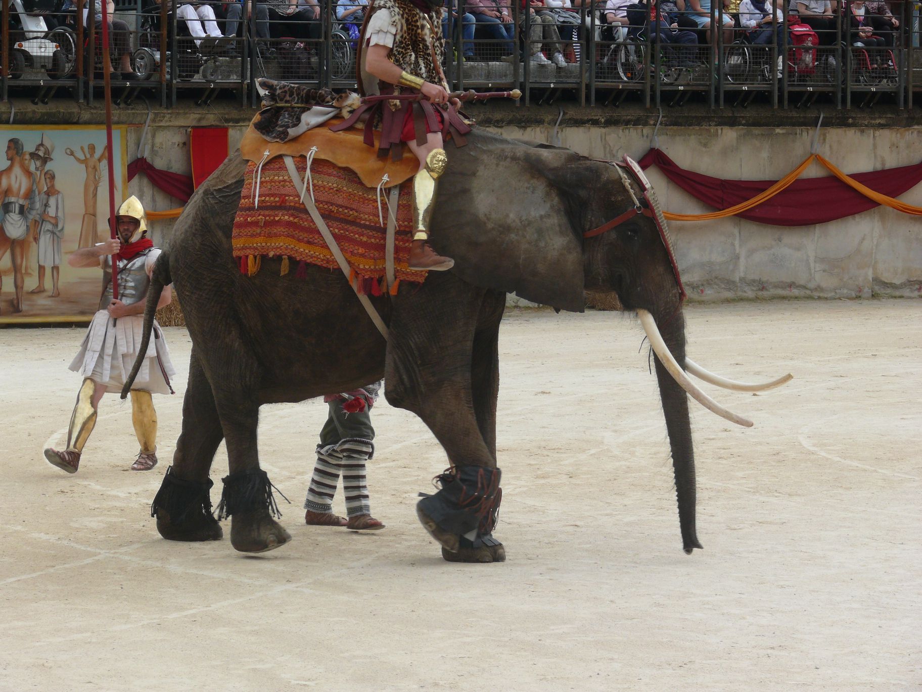 VÕ-TRẬN ĐẠI-VIỆT - ART PROBOSCIDESTRE_Eléphants de Guerre