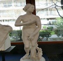 Statuaire Grèce Copie Rome  Venere de' Medici Florence Copie Montpellier
