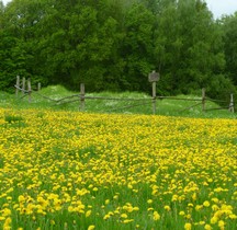 1 Limes Germanicus Rheinland-Pfalz Limeswachturms Wp 1-12