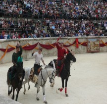 Jeux du Cirque Eques  Nimes 2015