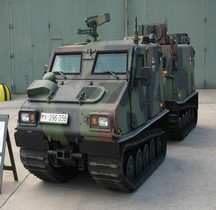 Bandvagn 206 Geländetransportfahrzeug Bv206D  Trsp Trp Bundswher Treves