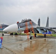 Sukhoï 30 Flanker C SM