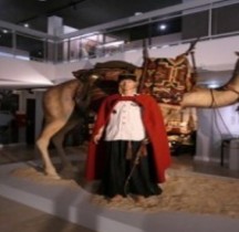 1950 Goupes nomades Coloniaux Meharistes Frejus Musée TdM