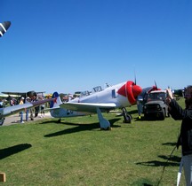 Yak-11 Moose La ferte Alais 2006