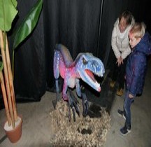 2.3.1Crétace supérieur Velociraptor Montpellier