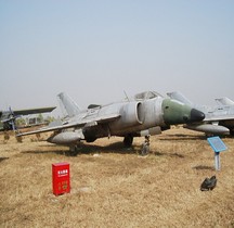 Nanchang A-5 Fantan