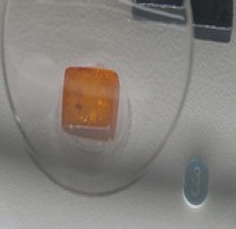 0 Ambre Bologne Museo Capellini