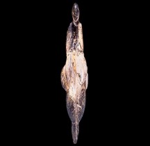 1.4.2 Paléolithique supérieur Gravettien Supérieur Venus de Lespugne Paris MH
