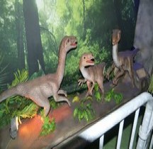 2.3.4 Crétacé Final final Maastrichtien Ornithomimus  Montpellier