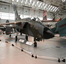 Italie Allemagne UK Panavia Tornado Prototype P02 Cosford