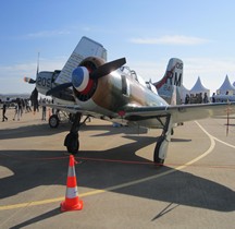 Yak-11 Moose Nimes 2015