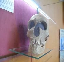 0 Hominidés 1.3.3 Paléolithique Moyen Moustérien  Homo Sapiens Neanderthalensis  Abri de la Ferrassie