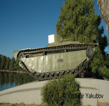 LVT A1 Water Buffalo  Californie