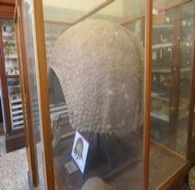 4.1 Quaternaire Pleistocène Faune Glyptydon Typus Bologne Museo CapelliniClavipes Paris