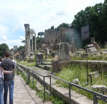 Rome Rione Campitelli Forum Romain Basilique Julia