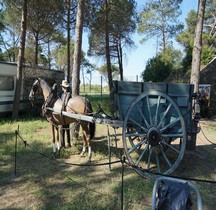 1940  Charette Tombereau  Le Grau d Agde 2022