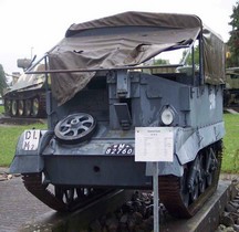 Ford T16 Universal Carrier Thun