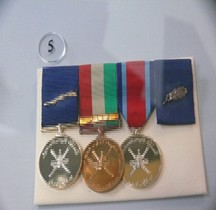 1994 Queen Commendation Valable services on  Air