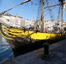 Brick Phoenix 1924  Sete  2026