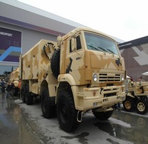 Kamaz 6560 TZM 2F66-1 2020