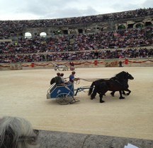 Gladiateur Essedarii  Nimes