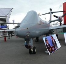 BAE Systems-Dassault Telemos Le Bourget  2011