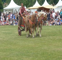 Celte Char Guerre Gaulois Attelage St Romain