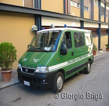 FIAT Ducato 4x4 Corpo Forestale dello stato