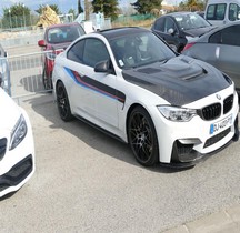 BMW 2014 M4 Palavas 2020