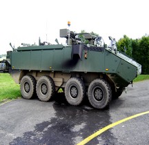 Mowag Piranha III C ( Armée Belge)