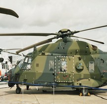 NH 90 TTH Allemagne Le Bourget 2008