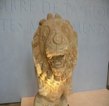 Gaule Lion d Arcoule Arles