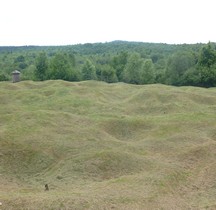 Meuse Douaumont Cote 310