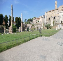 Rome Rione Campitelli Forum Romain Colonnes Honorifiques