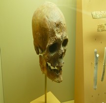 0 Hominidés 1.4 Paléolithique supérieur Homo Sapiens Type Cro Magnon SGL MAN