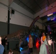 2.2.1 Jurassique Ancien  Brontosaurus Montpellier