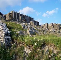 Puy de Dome.Le Temple de Mercure