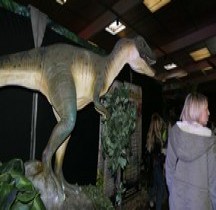 2.3.1 Crétacé Inférieur Utahraptor Ostrommaysorum Montpellier
