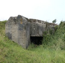 Pas de Calais Wimille Stp240 Buschwindröschen  Stp241 Crokus II