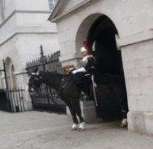 1969 Household Division Horse Guard The Blues and Royals 2015 Londres