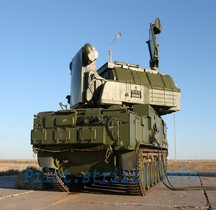 Missile Sol Air TOR M 1 SA-15 Gauntlet