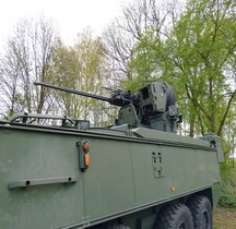 GDELS-MOWAG Piranha IIIC DF30 Belgique