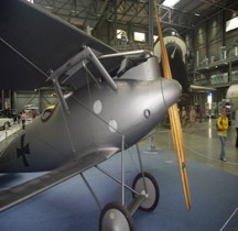 Pfalz D III (Spire)