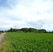 Nord Lilles Fort de Seclin