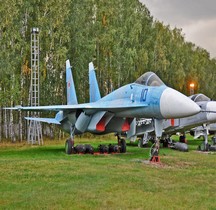 Sukhoï 27 Flanker A T 10